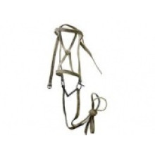 bridle
