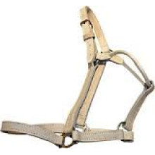 halter